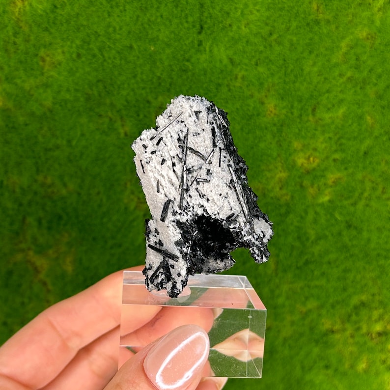 May include: A black and white crystal specimen with a rough, jagged texture. The crystal is displayed on a clear acrylic stand.