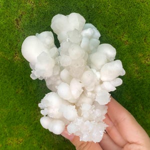 Aragonite Great Quality Specimen, Chihuahua, Mexico