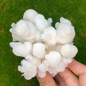 Aragonite Great Quality Specimen, Chihuahua, Mexico