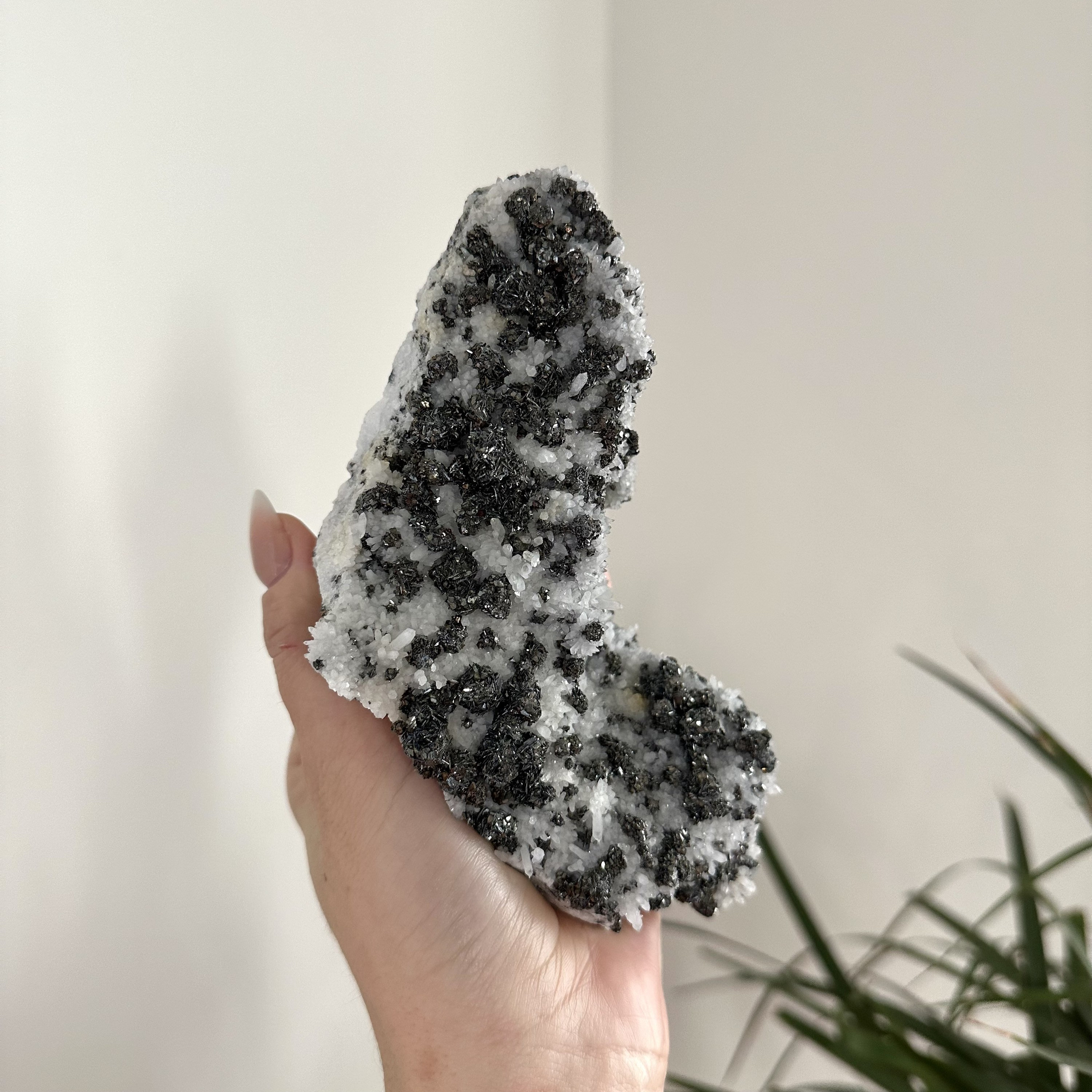 ポルトガル、パナスケイラ鉱山産の希少な閃亜鉛鉱天然水晶とクォーツ 