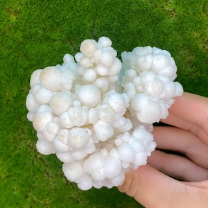 Aragonite Great Quality Specimen, Chihuahua, Mexico