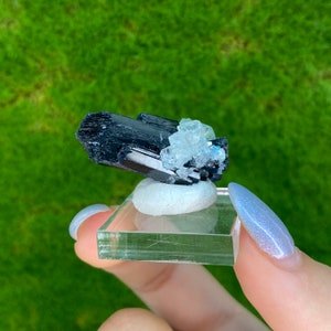 以下が含まれることがあります： 黒トルマリンの結晶クラスターの上に、アクアマリンの結晶クラスターが乗っています。結晶は小さな白いスタンドに飾られています。
