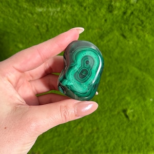 Malachite Freeform, Malachite Palm Stone, Crystal Palm, Crystal Display Polished Malachite