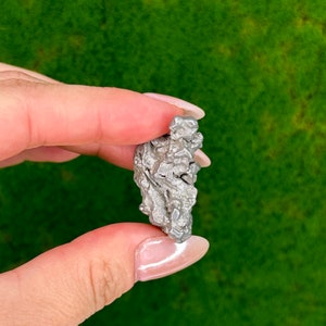Meteorite from Campo Del Cielo, Argentina