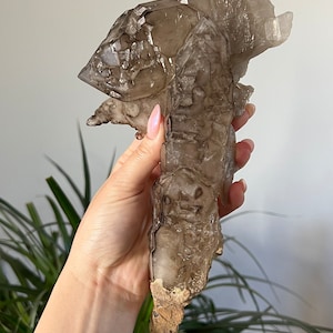 Elestial Smoky Crocodile Quartz Crystal Natural Smoky Alligator Elestial Crystal Raw Smoky Quartz Cluster Raw Crystals Elestial
