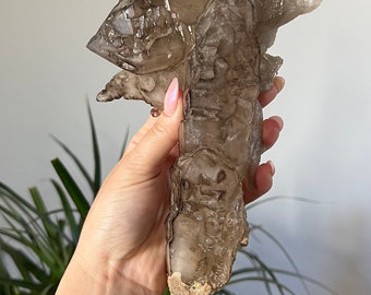 May include: A large, smoky quartz crystal cluster with multiple points and a rough, natural base.