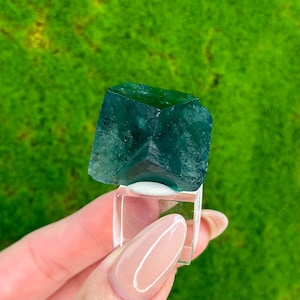 Twins Fluorite Green/Blue England, The Hidden Forest Pocket, Diana Maria Mine, England