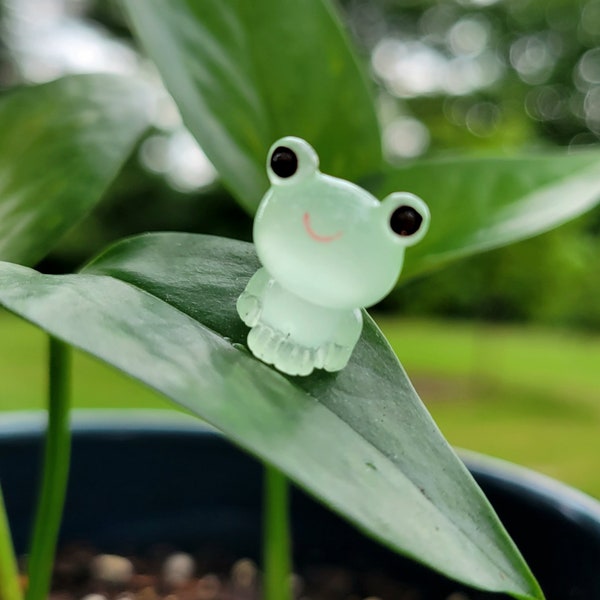 Cute tiny luminous green glow in the dark frog plant safe magnet. Sits on thin leafy plant secured by plant safe magnet, plant critter. NEW