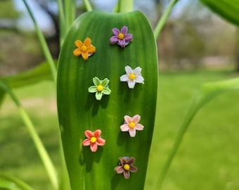 Set of 8 Dainty yet Charming Spring Flower Magnetic plant safe pins. Great for your smaller Desktop Leafy plants!  Plant magnets