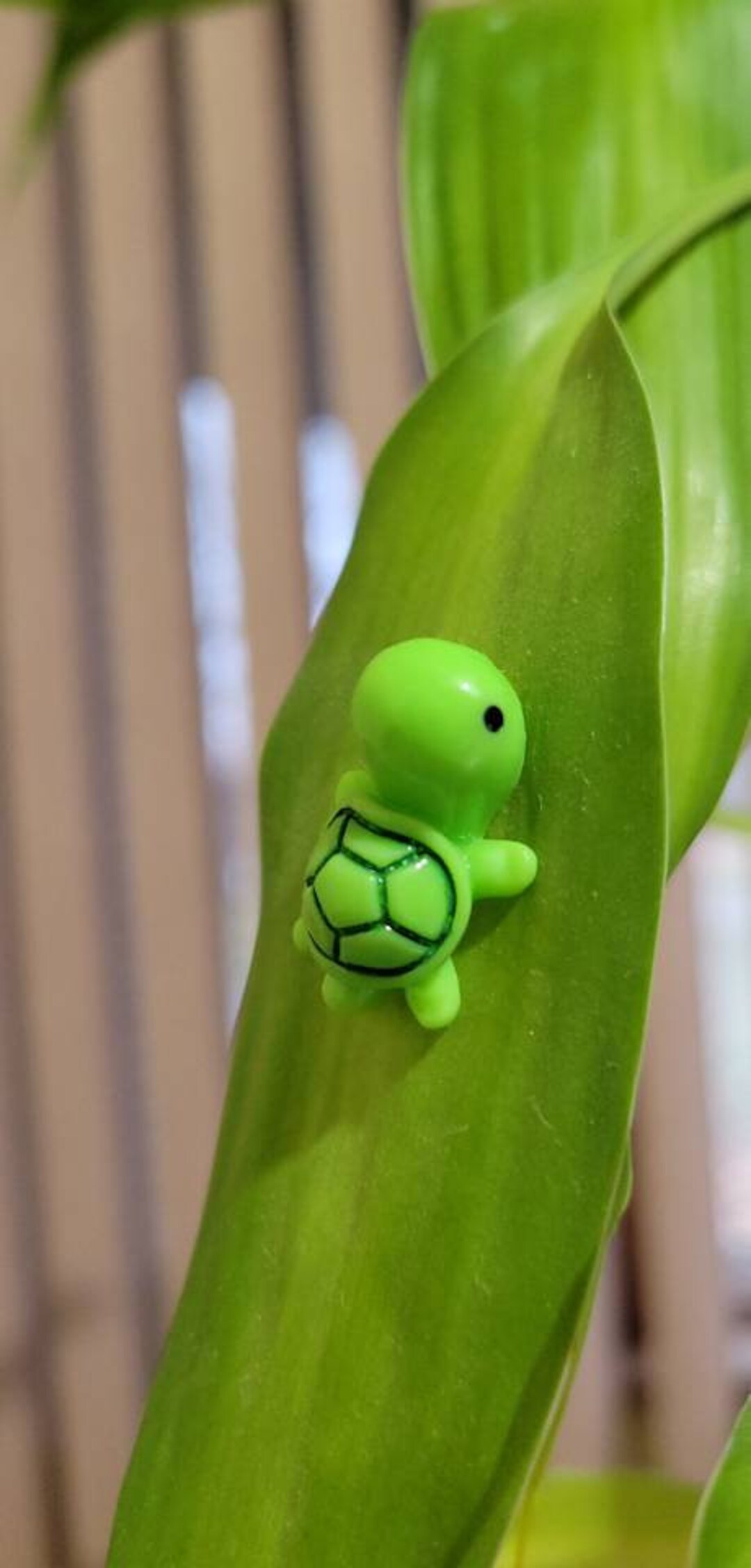 Plant Safe Baby Turtle Pins. Sits on Plant Leaves Secured by