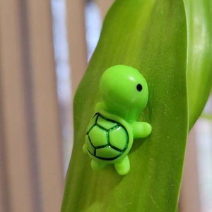 Magnetic plant safe Baby Turtle pins. Sits on plant leaves secured by plant safe magnets.  For Leafy Plants.  For plant lovers!