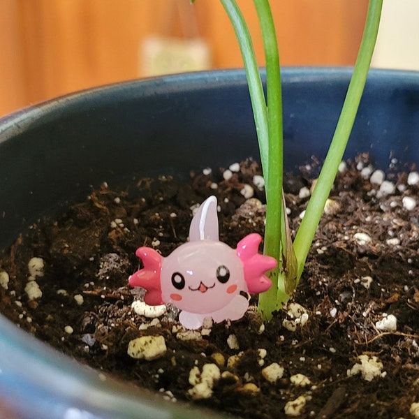 Axilotl - Tiny pink Axilotl plant sitter. Sit this plant buddy accessory next to your plant. So Fun and adorable. Pocket Pet Axilotl