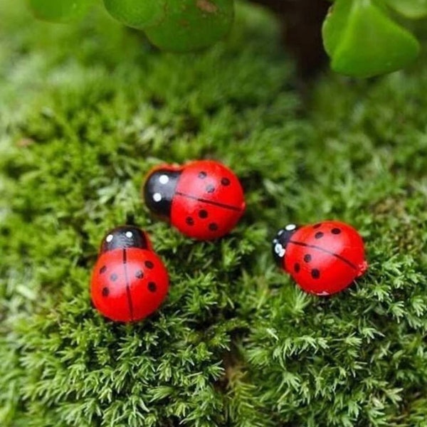 Set of 3 Wood Magnetic plant safe Ladybug pins. Sits on plant leaves secured by plant safe magnets. For Leafy Plants Leafy plant pin magnets