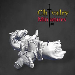 Medieval Dead Arrows Horse Casualty, Historical 1/72, 28mm, 32mm, 1/35, 54mm, 75mm, Resin Northern Crusades Miniatures