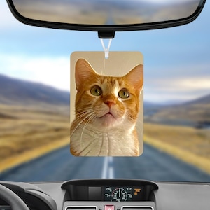Personalized Photo Car Air Freshener, Custom Air Freshener, Picture Air Freshener, Cute Car Accessories, Photo Freshener, Car Freshies.