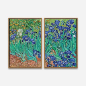 May include: Two framed paintings of irises in a field. The paintings are in a style reminiscent of Vincent van Gogh, with bold brushstrokes and vibrant colors. The left painting features a white iris, while the right painting features blue irises.
