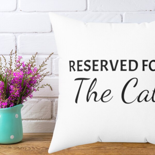 Funny Throw Pillow Etsy