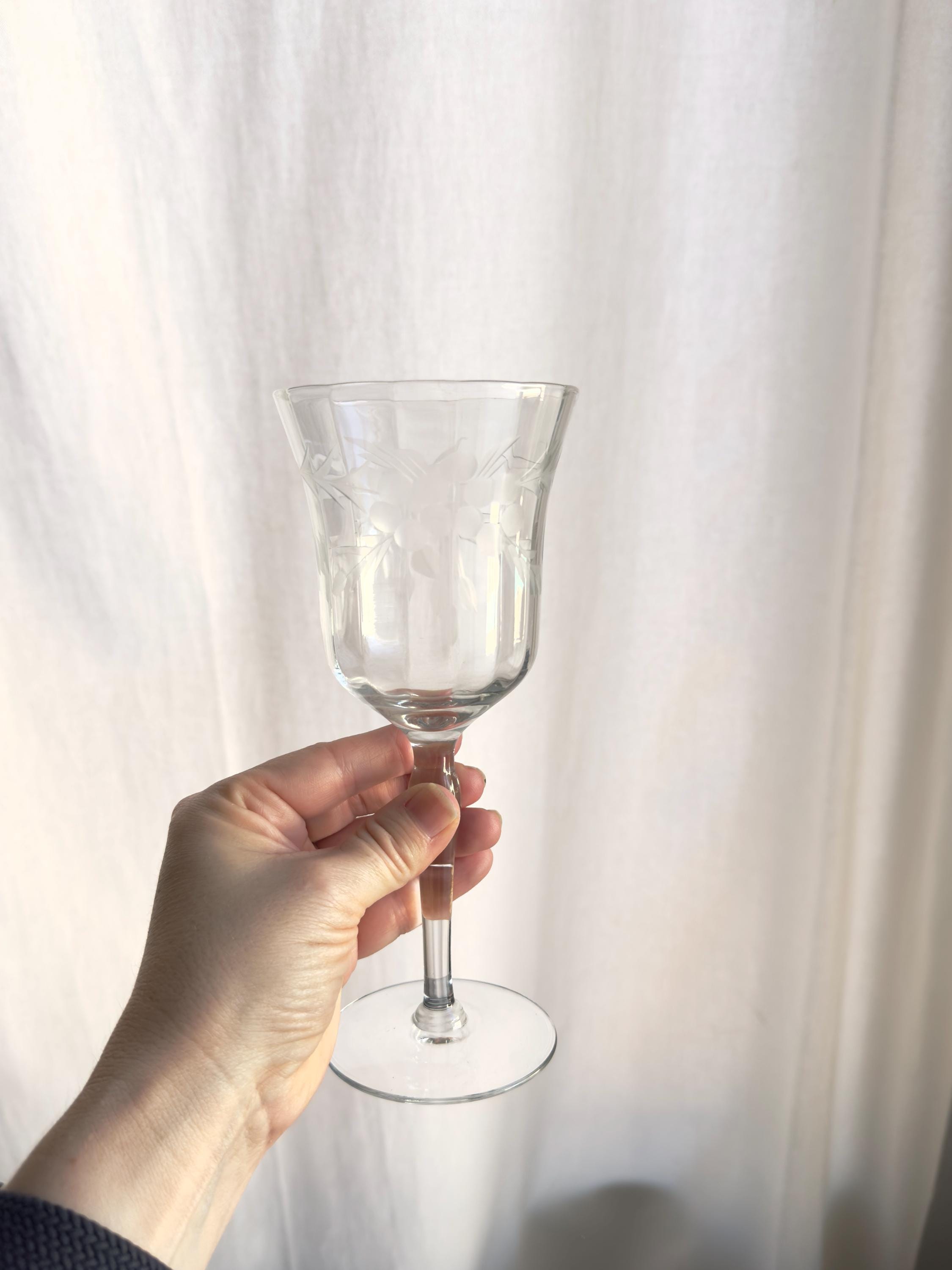 Rialto Borghese Etched Water / Wine Glass main image 1