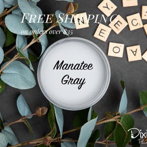 MANATEE GRAY | Dixie Belle Chalk Mineral Paint | light gray | Furniture Paint