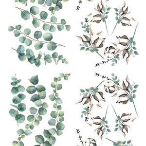 COTTON AND EUCALYPTUS | Transfer | Retired | 4 Sheets | Dixie Belle Paint