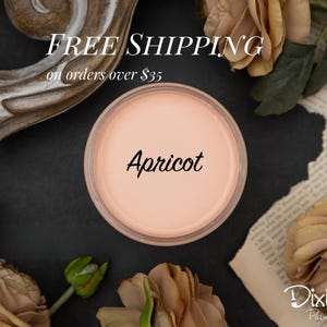 APRICOT | Dixie Belle Chalk Mineral Paint | pale orange | Furniture Paint