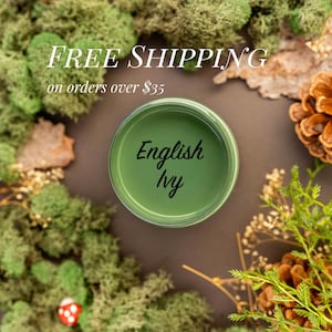 ENGLISH IVY | Dixie Belle Chalk Mineral Paint | muted green | Furniture Paint