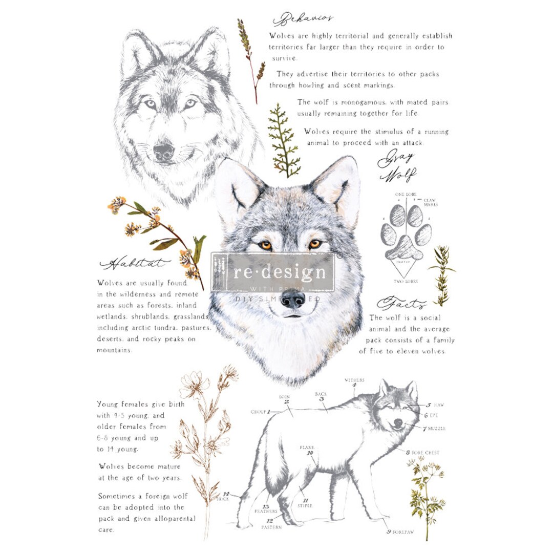 GRAY WOLF redesign With Prima Sheet Size 24X35, 3 SHEETS - Etsy
