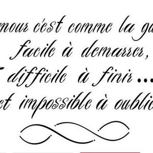 May include: Black and white image with a quote in French that reads "L'amour c'est comme la guerre, facile à demarrer, difficile à finir... et impossible à oublier". The quote is surrounded by two black roses.