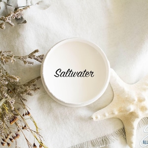 May include: A white paint sample jar with the text "Saltwater" on the label. The jar is sitting on a white fabric surface with a white starfish.