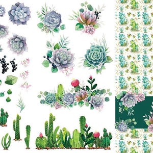 CACTI & SUCCULENTS | Transfer | Retired | 6 Sheets | Dixie Belle Paint