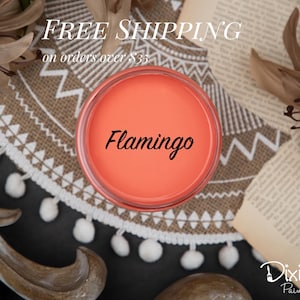 FLAMINGO | Dixie Belle Chalk Mineral Paint | vibrant coral | Furniture Paint