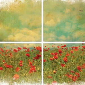 FIELD OF FLOWERS | Transfer | Retired | 4 Sheets | Dixie Belle Paint | red flowers in field