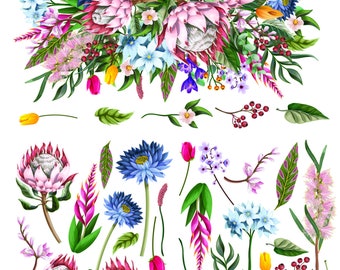 King Protea 24x37.2 Decor Transfer for Furniture & Crafts