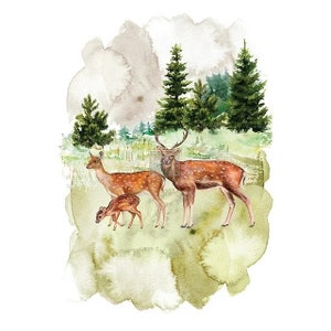 Fauna size 23&quot; x 34&quot; - Redesign Décor Transfers®