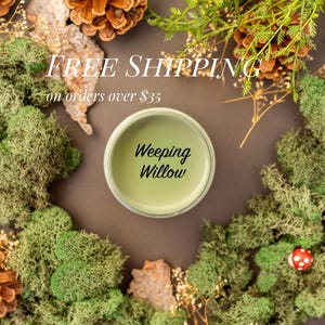 WEEPING WILLOW | Dixie Belle Chalk Mineral Paint | green | Furniture Paint