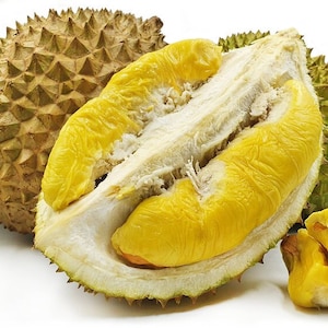 May include: Close-up of a durian fruit, a tropical fruit with a spiky green rind. The fruit is partially opened, revealing the creamy yellow flesh inside.