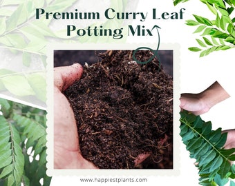 Best Potting Mix for Curry Leaf Plants | Neem | Tulsi | Bay Leaf Plant | Monstera | RICH Potting Mix,