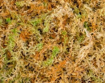 Lebendiges Torfmoos | Natürliches Moos | Kranz machen Moos | Moos für Stecklinge | Samen Starter Kit | Moos für Korbfutter