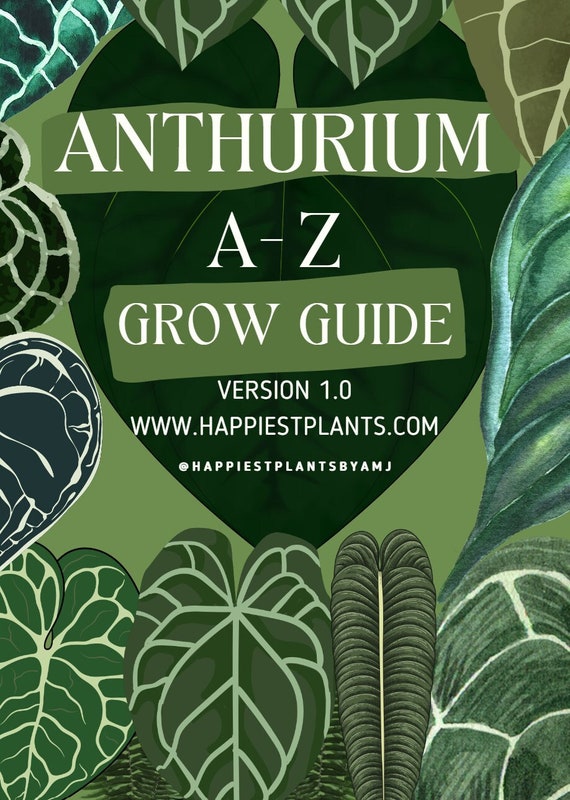 Anthurium Grow Guide: Your Comprehensive A-Z Manual for Thriving Anthuriums
