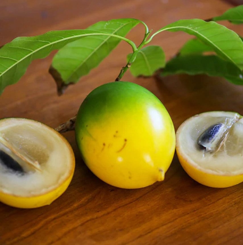 Abiu fruit - Etsy 日本