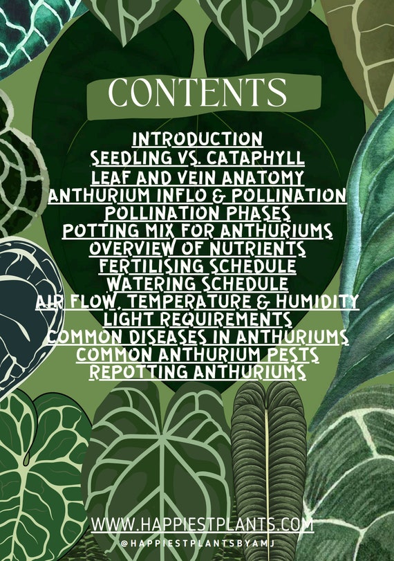 Anthurium Grow Guide: Your Comprehensive A-Z Manual for Thriving Anthuriums  - Etsy Israel