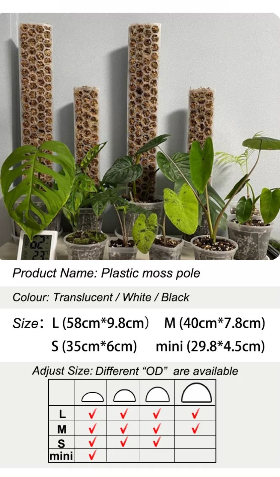 ハニカム モス ポール - クリア/透明フレッシュ ミズゴケ ポール。植物
