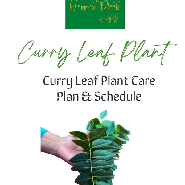 Curry Leaf Plant - Volledig jaarschema