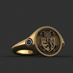 Personalized Signet Ring, Customized Ring, Coat of Arms Ring, Raised Family Celtic Ring, Crest Ring Gift, Gold Coated Family Crest Ring Gift