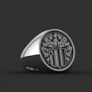 Family Crest,Custom Ring with Personalized Gold and Silver, Coat of Arms Custom Ring for Personalized Rings