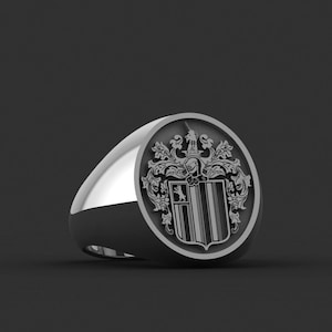 Family Crest,Custom Ring with Personalized Gold and Silver, Coat of Arms Custom Ring for Personalized Rings