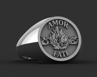 Bijoux Amor Fati, collier pièce de monnaie tête de mort, bague stoïque, bague, argent sterling véritable 925 carats Amor Fati, cadeau de Noël, idées de cadeau de Noël petit ami