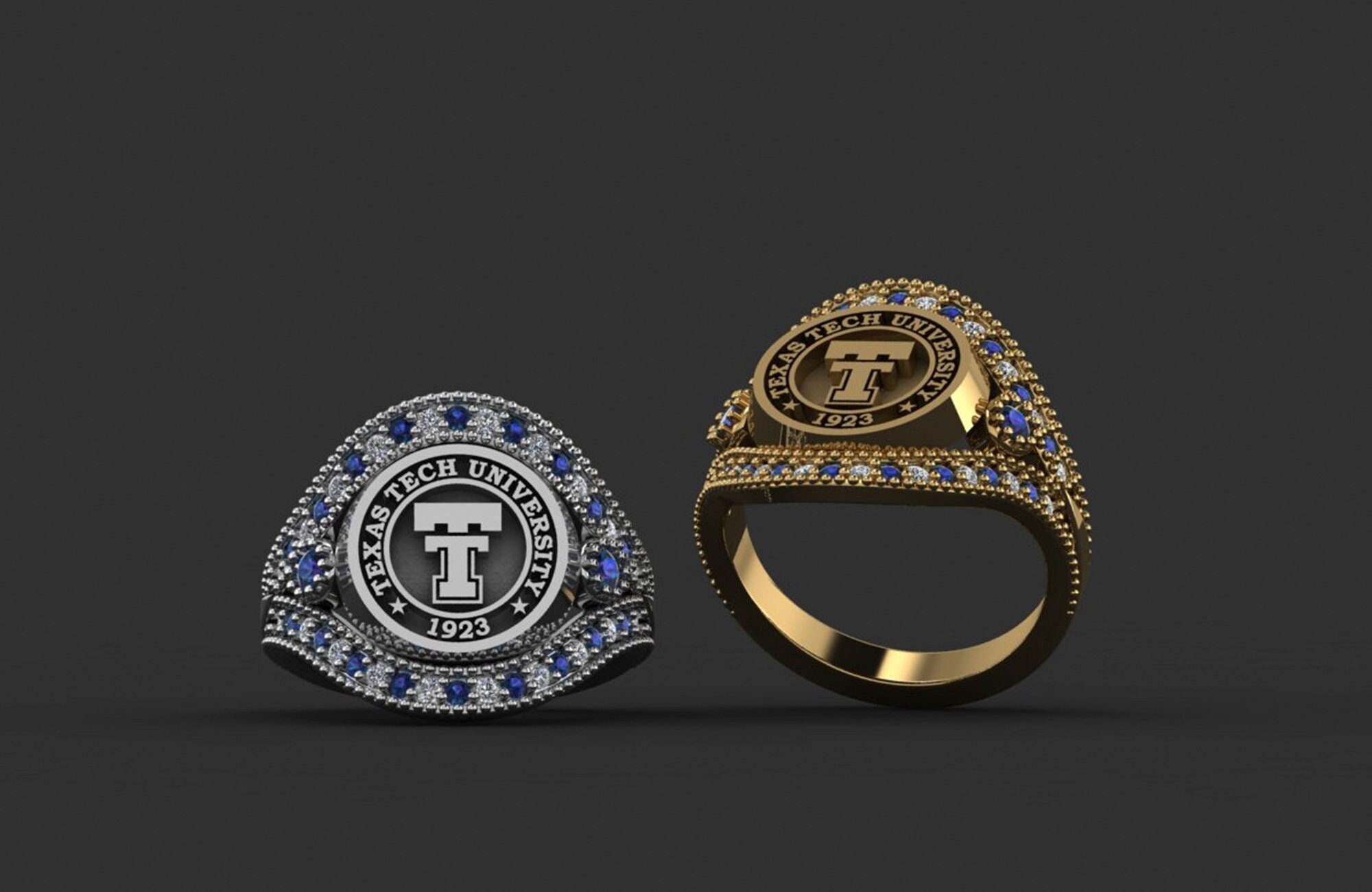 Custom College Ring with Birthstone & Initial, University Ring, Graduation Gift, Women's Jewelry, Class Ring, College Class Ring, School Ring, High School Ring