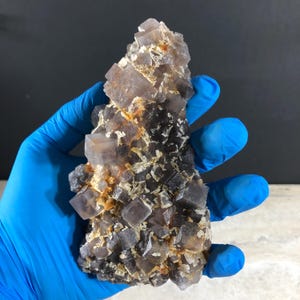 May include: A cluster of translucent, cubic fluorite crystals in shades of deep purple and smoky gray. The mineral specimen features sharp, geometric crystal formations with visible internal zoning and light-colored mineral inclusions throughout.