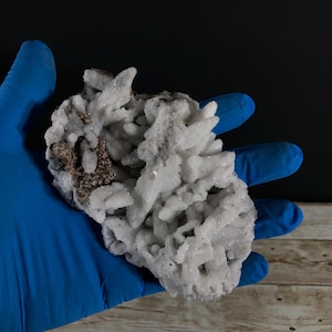 May include: A white crystal cluster with a textured, porous appearance. The crystal formation has a spiky, irregular shape, with some areas showing a brownish hue. The object is held in a blue gloved hand against a dark background.